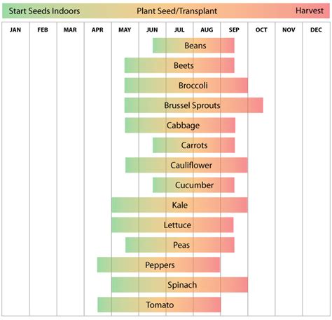 Zone 10a Planting Guide Plant Ideas