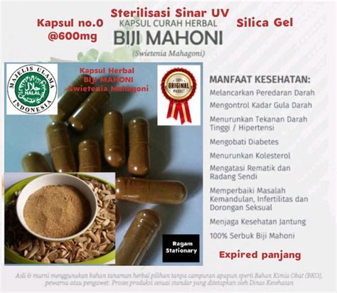 Jual Kapsul bubuk Biji Mahoni herbal jamu obat isi 100 per botol di ...