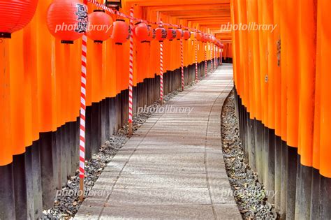 伏見稲荷大社の千本鳥居 写真素材 2031276 フォトライブラリー Photolibrary