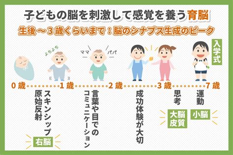 幼児の育脳とは？年齢別・性別での育脳ポイントをご紹介 子育て＆教育ひと言コラム 伸芽sクラブ 受験対応型託児所