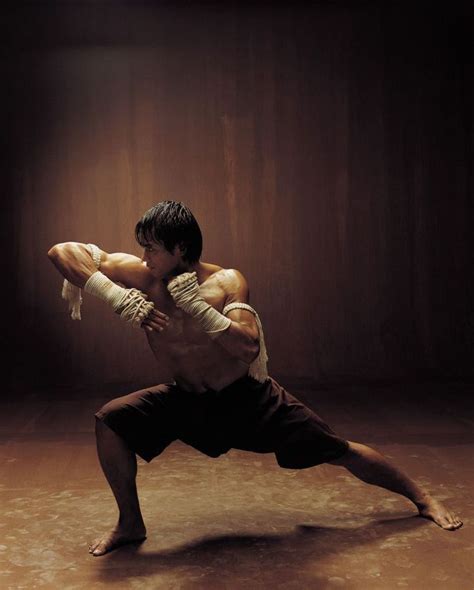 Sports Muay Thai Treino De Artes Marciais Artes Marciais Poses