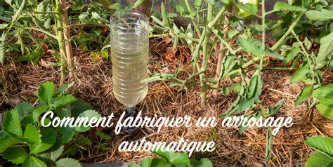 Comment Fabriquer Un Arrosage Automatique Pour Vos Plantes