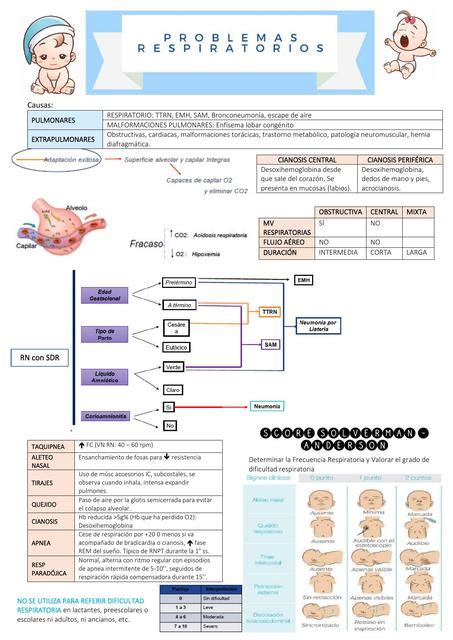 Problemas Respiratorios En El Recién Nacido Fiorella Elita Udocz