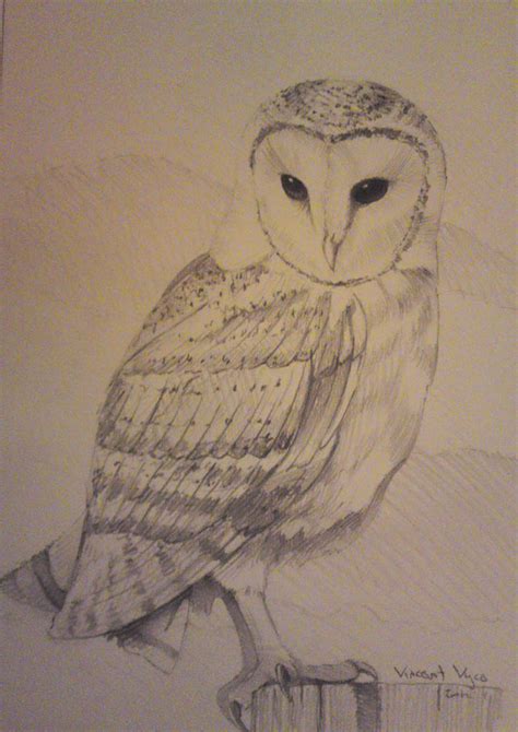 Barn Owl In Pencil By Visualsymphonystudio On Deviantart