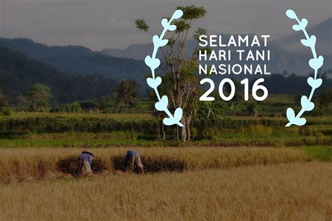 +67 Kata Ucapan Selamat Hari Olahraga Nasional