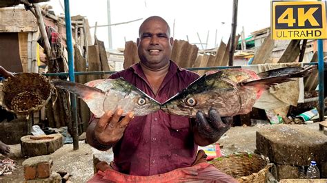 Vanjaram Fish Thala Cutting Video Fishcuttingrs Fishcuttingrs