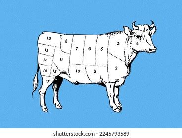 Concept Art Vector Vintage Beef Cuts Stock Vector (Royalty Free ...