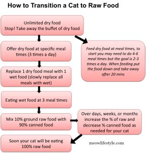 Raw Cat Food | Meow Lifestyle