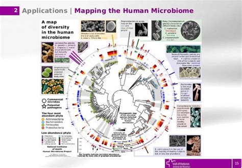 Introduction To Metagenomics Applications Approaches And Tools Bio