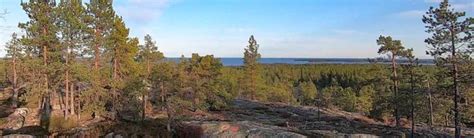 Hiking Northern Sweden - Archaeological Hike Jävre