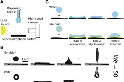 Dynamics Of An Impacting Emulsion Droplet The Influence Of Materials
