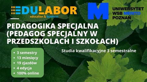 Pedagogika Specjalna W Zakresie Edukacji W Czaj Cej Pedagog Specjalny