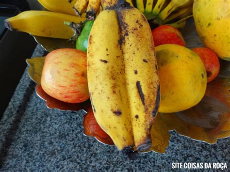 Curiosidades Sobre A Banana Que Voc Precisa Conhecer