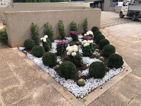 Bari Fiori E Piante Al Cimitero Monumentale Grazie Agli Sponsor