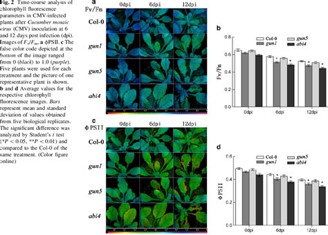 Time Course Analysis Of Chlorophyll Fluorescence Parameters In