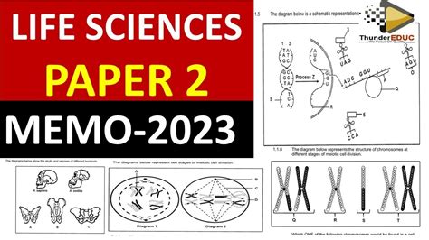 Memo Life Sciences P Grade Final Exams Thundereduc