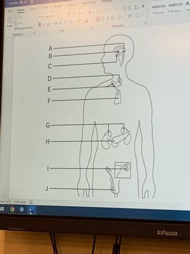 Test Review Chapter 9 Flashcards Quizlet