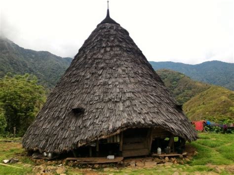 Rumah Adat Ntt Penjelasan Dan Sejarah Lengkap Beserta Gambar Images