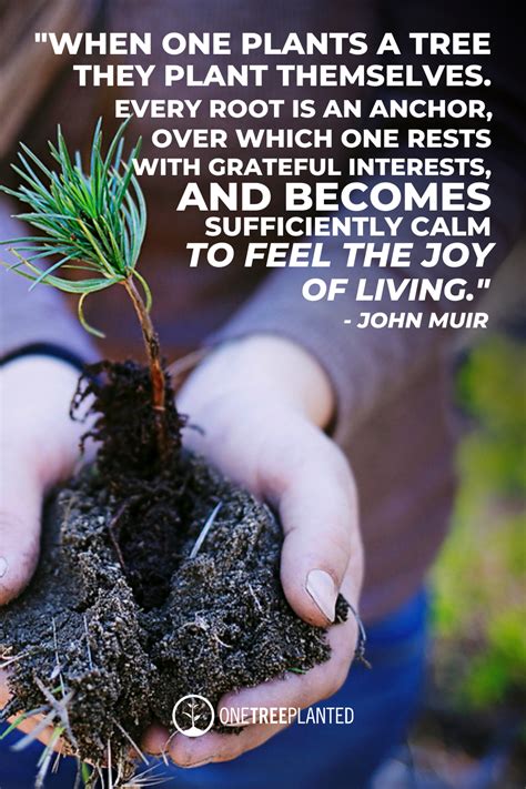 39 Tree Planting Quotes To Inspire You To Grow A Forest, 43% OFF