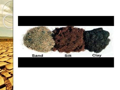 Physical properties of soil