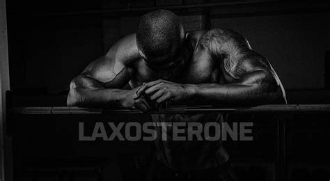 Laxosterone Portal Day Pharma