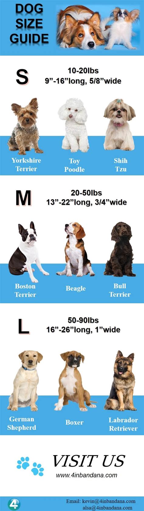 Dog Collar Size Guide