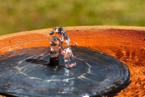 The 8 Best Solar Bird Bath Bubblers Hummingbirds Info