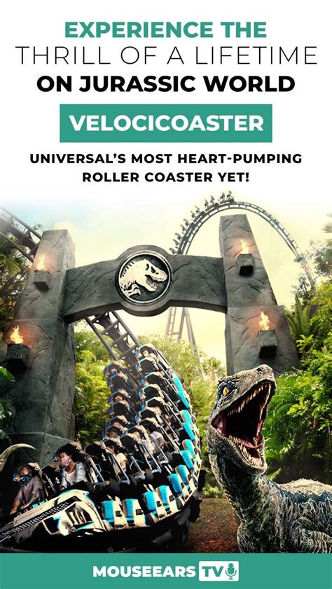 Experience The Thrill Of A Lifetime On Jurassic World Velocicoaster Universal S Most Heart