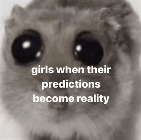 Scared Predictions Scared Predictions Hamster Meme Discover And