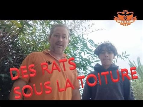 COMMENT SE DEBARRASSER DES RATS DANS LE GRENIER EPISODE 1 2