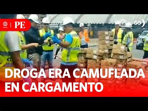 Incautan Kilos De Droga Camuflada En Cargamento De Paltas Primera