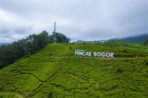 16 Tempat Wisata Di Puncak Bogor Dari Rekreasi Hingga Kuliner