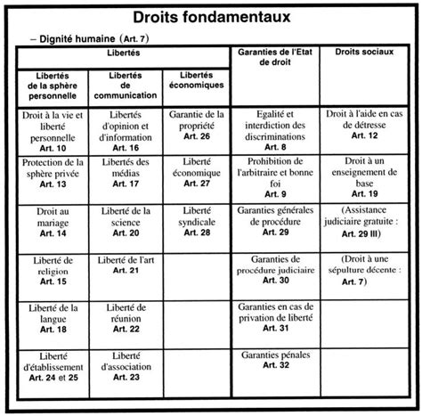 Le Conseil Constitutionnel Protecteur Des Droits Et Libertés