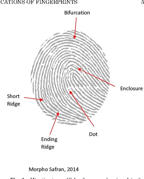 Figure 2 From Sex Ancestral And Pattern Type Variation Of Fingerprint Minutiae A Forensic