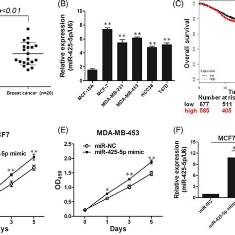 Mir‐425‐5p Inhibits Pten Expression In Breast Cancer Cells A The Download Scientific Diagram