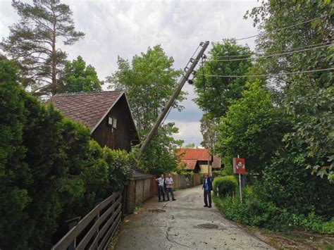 Baum Auf Stromleitung Gest Rzt Berufsfeuerwehr