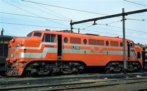 L1150 Dynon 200283 LR | Chris Nuthall | Flickr