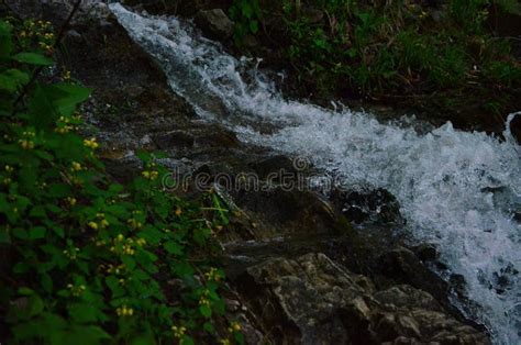 Cascada Hermosa Con Agua Clara En Una Corriente De La Monta A En El