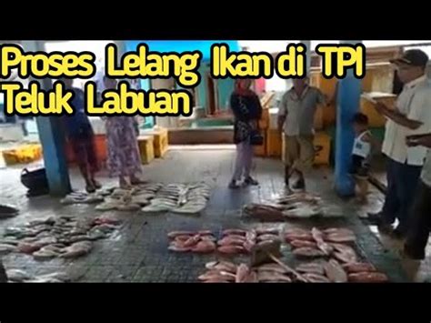 Cara Lelang Ikan Di Tpi Teluk Labuan Pandeglang Banten Youtube