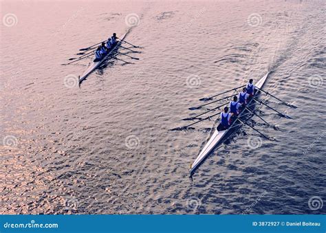 Rowing duet stock image. Image of cruise, regatta, river - 3872927