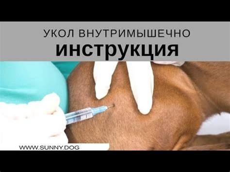 внутримышечный укол - YouTube