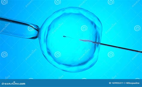 Artificial Insemination Or In Vitro Fertilization 3d Rendering Stock Illustration