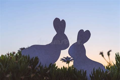 205 Silhouette Rabbits Stock Photos Free Royalty Free Stock Photos