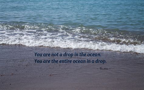 A Drop In The Ocean Quotes. QuotesGram