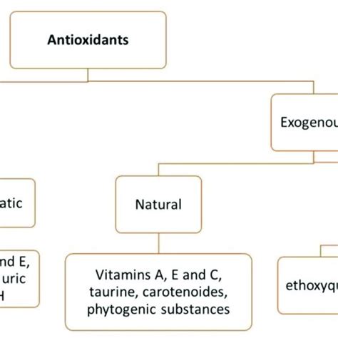 Endogenous and exogenous antioxidants. SOD, superoxide dismutase; CAT ...