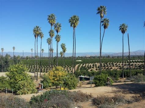 California Citrus State Historic Park - Landmarks & Historical ...