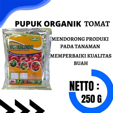 Jual Pupuk Tomat Rumahan Dan Cabai Pupuk Tomat Swallow Booster