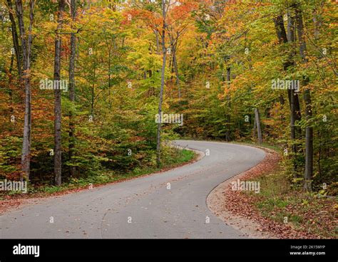 This S Curve On Cottage Row Road In Northern Door County Is Framed By