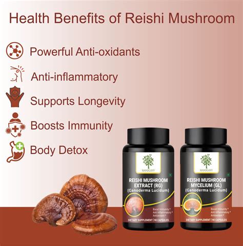 Buy Mahogany Reishi Ganoderma Lucidum Mushroom Extract Capsules Set