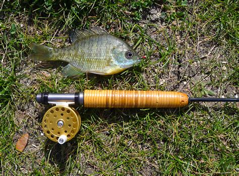 Ultralight Fly Fishing • Jerrys Pond Friscoe Tx